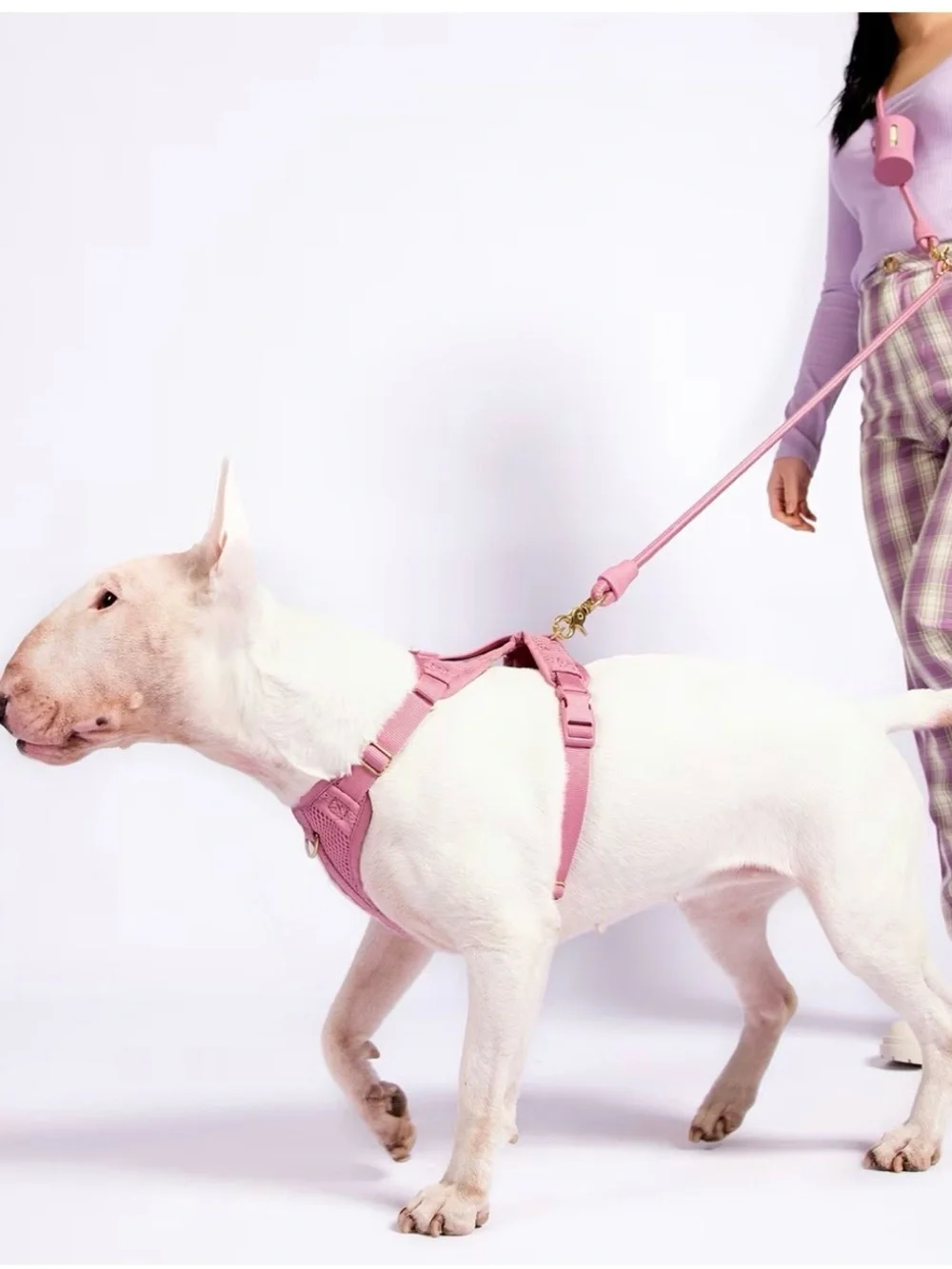 AWOO Roam Harness in Large & Infinity Leash